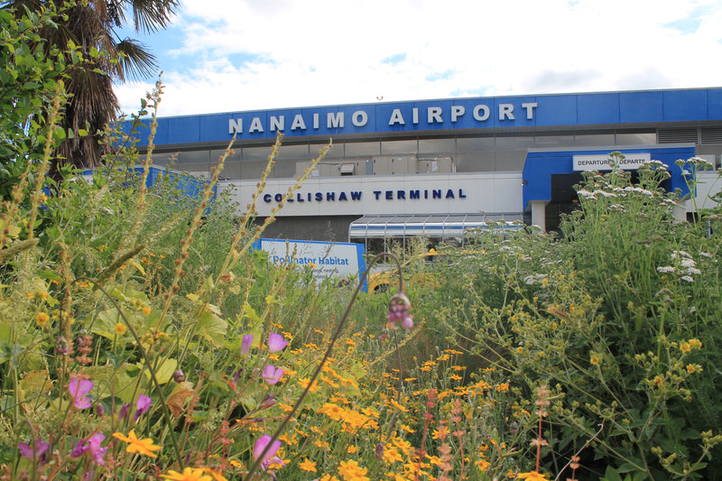 The YCD Pollinator Garden: A Living Welcome to Nanaimo’s Native Flora ...