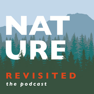 Nature Revisited: A Podcast with Stefan van Noorden - A Satinflower Favourite!