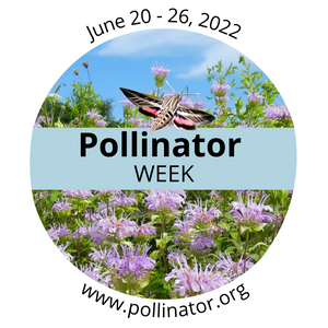 Pollinator Week Plant Sale!