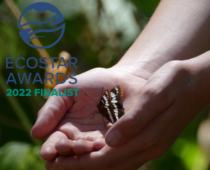 Ecostar Awards Finalist!
