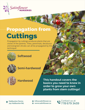Propagation from Cuttings Guide