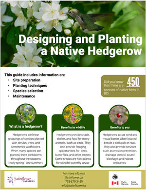 Designing and Planting a Native Hedgerow