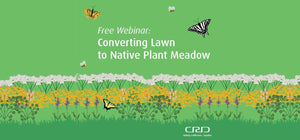 Webinar: Converting Lawn to Native Plant Meadow