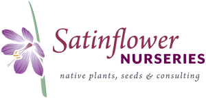 Introducing: Satinflower Nurseries