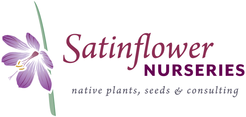 Introducing: Satinflower Nurseries