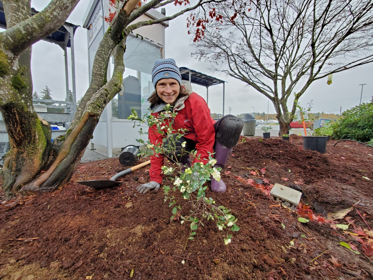 New Native Plant Garden at the Nanaimo Airport – Satinflower Nurseries