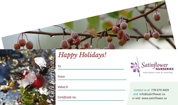 Satinflower Nurseries Gift Certificate