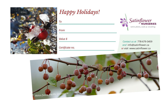 Satinflower Nurseries Gift Certificate