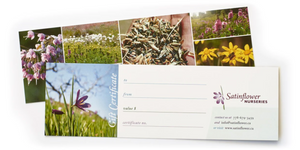  Native Plant Gift Cards 