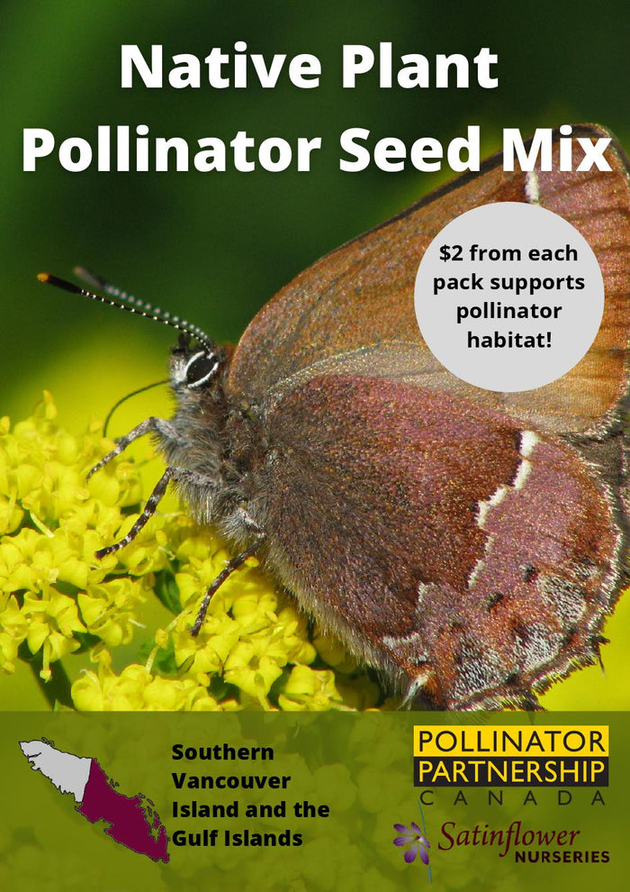 Native Plant Pollinator Seed Mix - Limited Qty