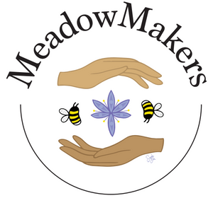 MeadowMakers 2024 Program Waitlist